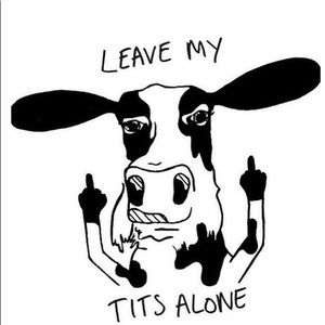 Meet your Posher, Serena